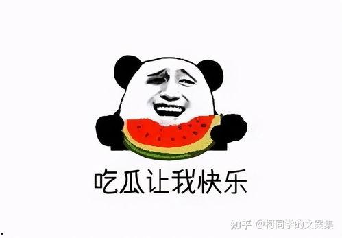 娱乐吃瓜文案搞笑,笑料百出,吃瓜群众笑翻天! 第3张 娱乐吃瓜文案搞笑,笑料百出,吃瓜群众笑翻天! 第3张